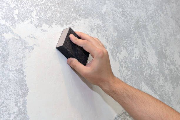 Best Mold Remediation for Vacation Homes  in Park Ridge, IL
