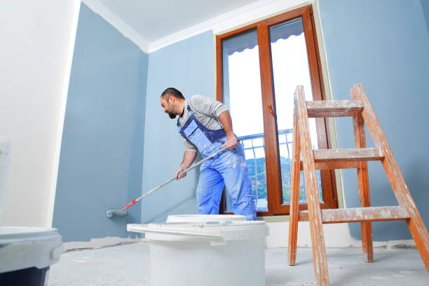 Best Forensic Mold Investigation  in Park Ridge, IL