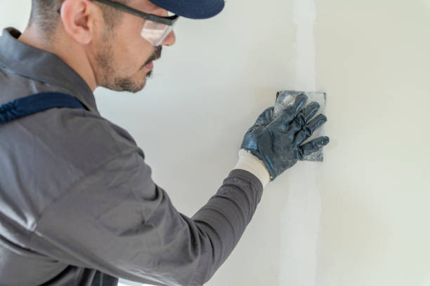 Best Water Damage & Mold Remediation  in Park Ridge, IL