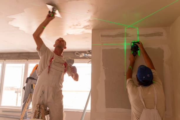 Best Comprehensive Air Testing for Mold Contaminants  in Park Ridge, IL