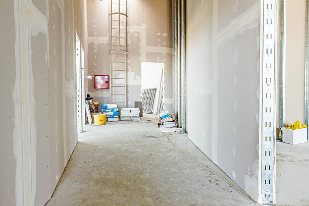 Best Biohazard Mold Removal  in Park Ridge, IL