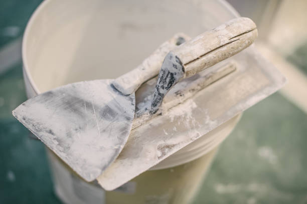 Best Basement Mold Removal  in Park Ridge, IL