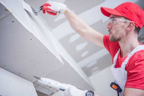 Mold Remediation for Vacation Homes in Park Ridge, IL